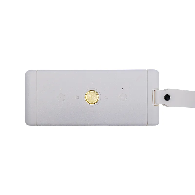 Parlante Teros Legacy LEG-6052BG Inalámbrico BT 5.3 40W 4000mAh USB Micro SD - Vista 4